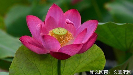 关于最好的我们的句子