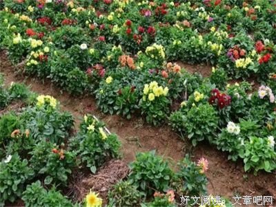 嫁给这三种男人，女人才会幸福一辈子！