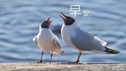 关于文艺少女摘抄本的优美句子