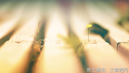 M经典的句子