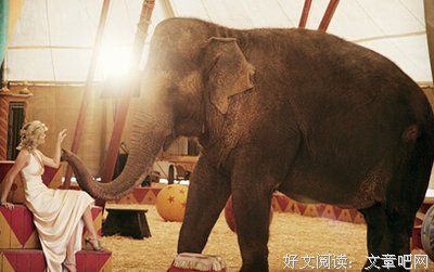 影视语录