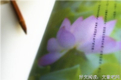 《人生若如初见》经典观后感集