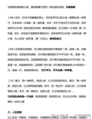 考都开作文装B专用经典的句子