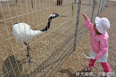 她也曾是一个和你一样的小女孩