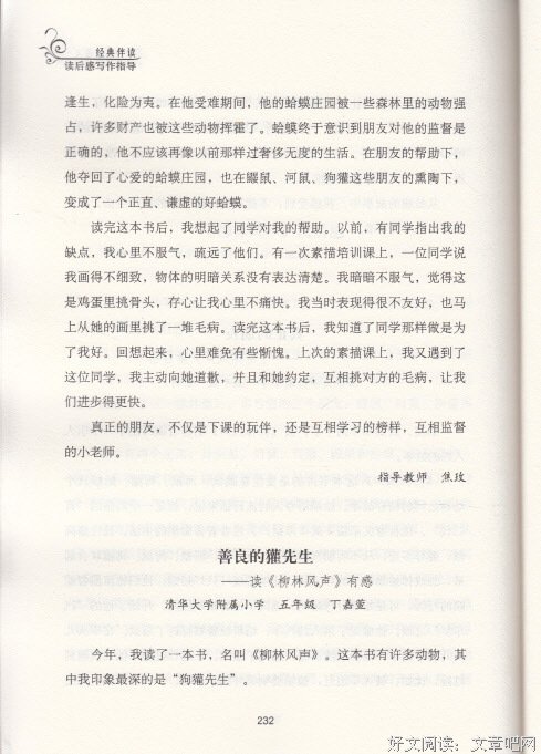 动物王朝的读后感大全