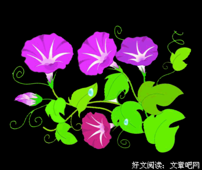 《对决人生：解读海明威》经典读后感有感