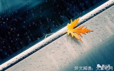 15条关于心甘情愿的经典语句