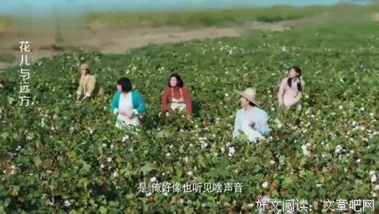 农村小媳妇，敢看吗？