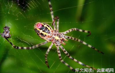你说之后会找我