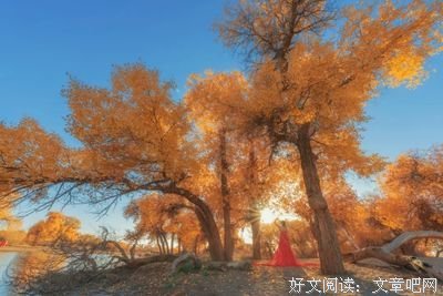 女人最好的活法，都在这8句话里