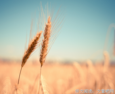 我和领导的纯粹爱情
