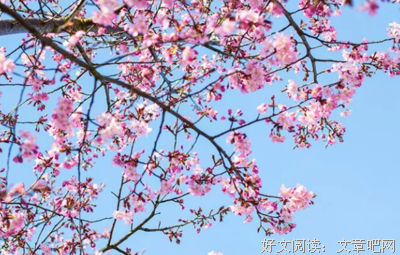 童当你来经典的句子