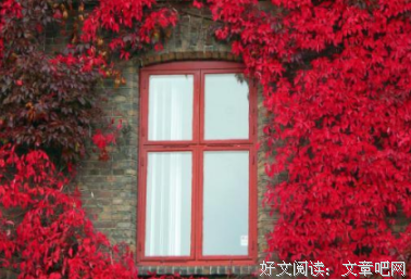 关于百年孤独的优美句子