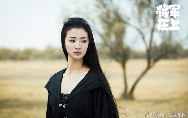 《将军在上之极乐净土》经典观后感有感