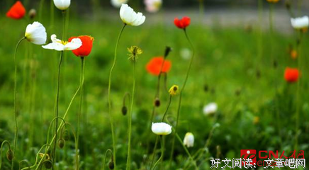 关于一无是处的语句