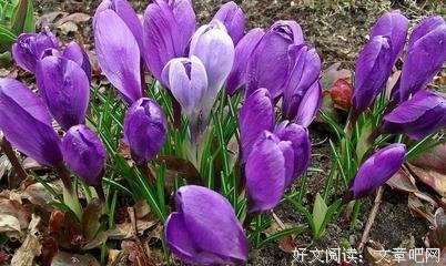 15条关于细水长流的经典语句