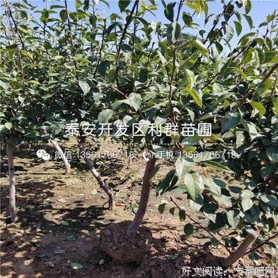 关于生生不息的座右铭