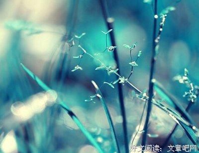 一句话的句子