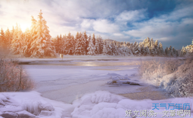 关于Dragon Raja的句子