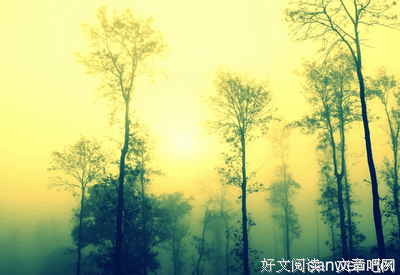 文艺风优美的句子