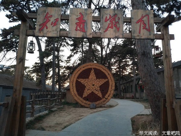 知青 