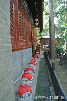 写香评的博主，人均散文大师