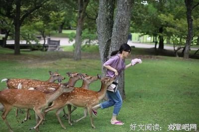 Papi酱被骂上热搜：“你个婚驴，也配当独立女性”？