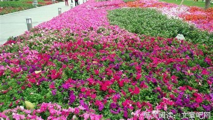 老父亲死前设局：想独吞我的巨额遗产？没门儿！