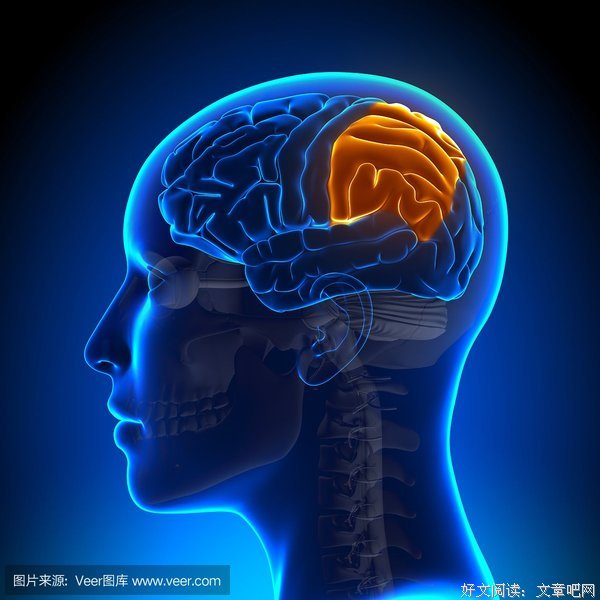 变现手段：女人的身体、美貌、智慧，哪个最强？