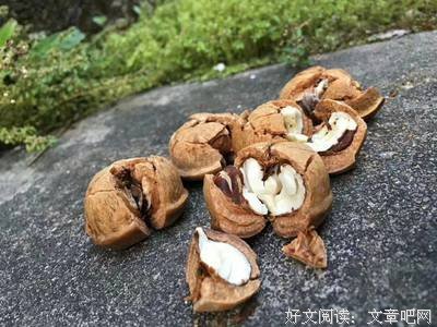 容与风流好词好句