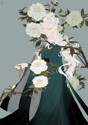 关于白山茶的句子