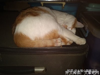 大龄剩男们是不是普遍性格上有些问题?