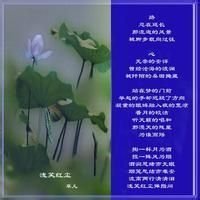 《北京的痴梦》的读后感大全