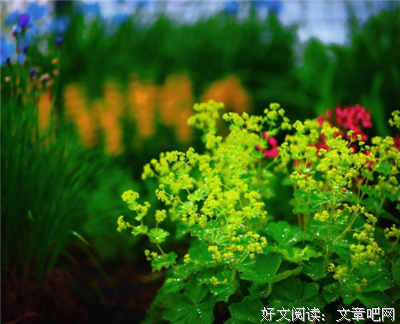 《张爱玲传》读后感精选