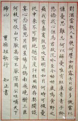 《短歌行》读后感100字