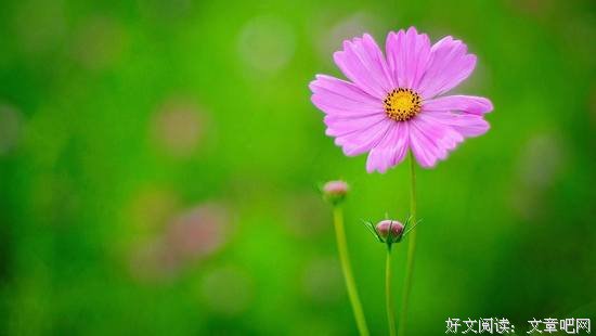 《荀子》：人生要有“止”的智慧