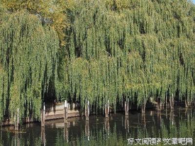 关于花前月下的唯美语录