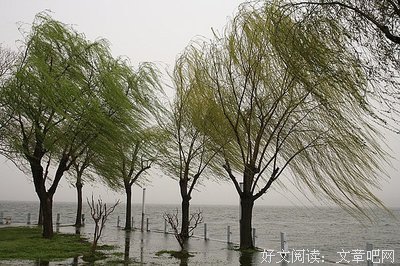 描写津津乐道的语句摘抄