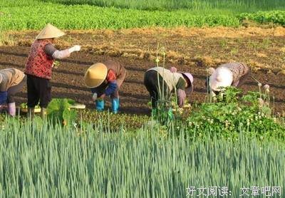 马上扔，家家都有！