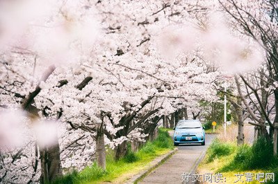 沧海难为便翁气句子