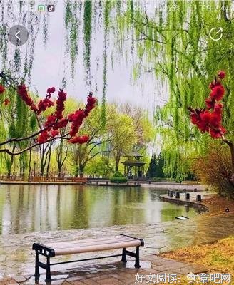 自己每天总爱胡思乱想怎么办？