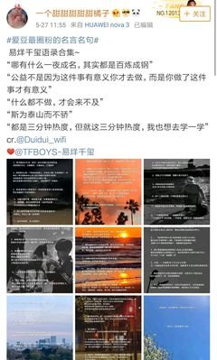 年少岁中狂的我名句欣赏