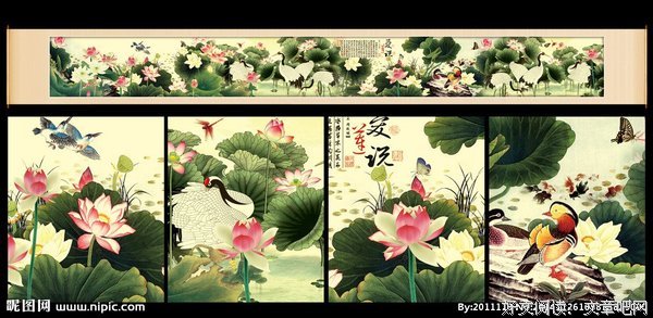 荷花和丹顶鹤读后感锦集
