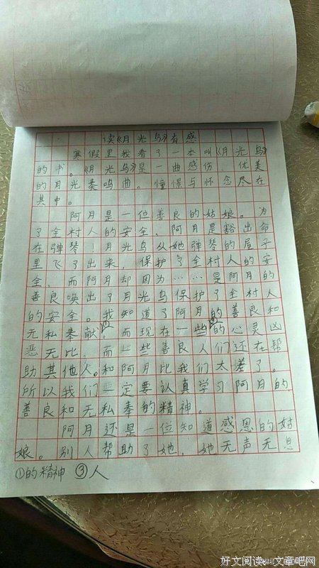 运动，真美妙！读后感精选