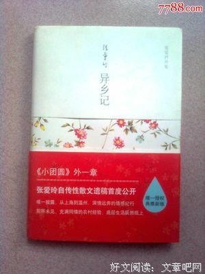 异乡记读后感100字