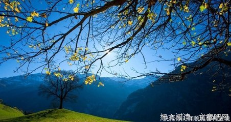 并非如此格言警句