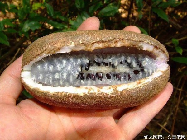 记忆犹新的语句摘抄_关于记忆犹新的语句