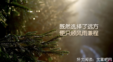关于漠不关心的名言