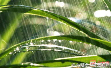 狂风暴雨的句子
