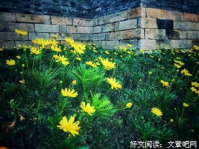 早读：珍惜，永远是相互的！